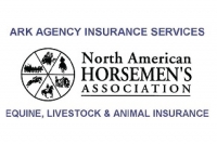 Ark Agency
